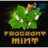 Табак для кальяна Krass M-Line Fragrant Mint (Красс Ароматная Мята) 100г Акцизный